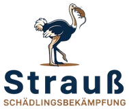 timo strau e k